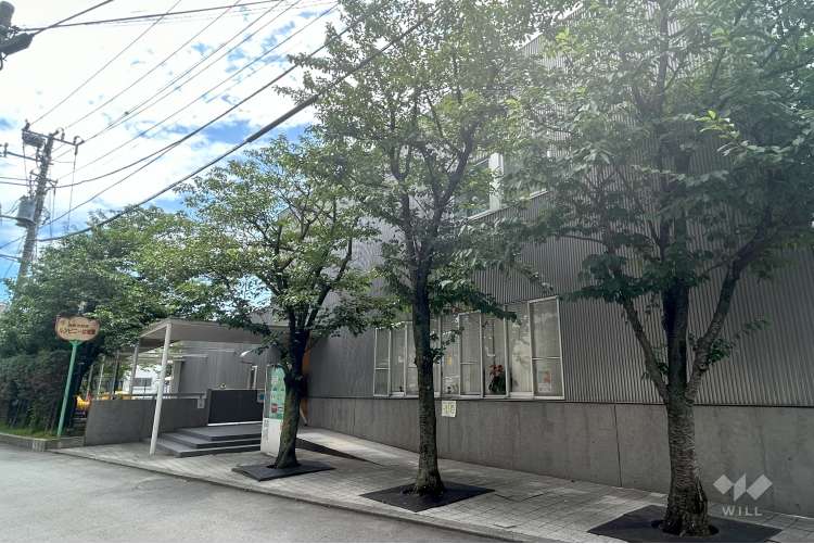 ルンビニー幼稚園の写真