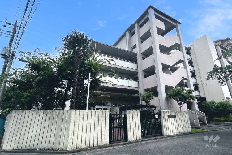 南白鳥保育園の写真