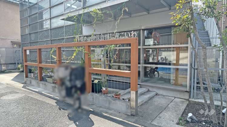 ゆめの樹保育園しんこいわの写真