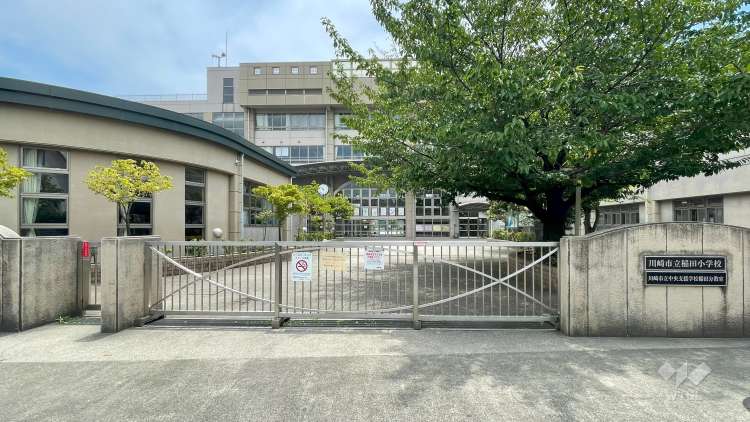 稲田小学校の写真