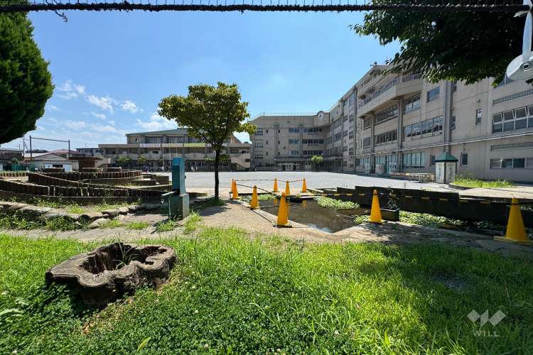 中野島小学校の写真