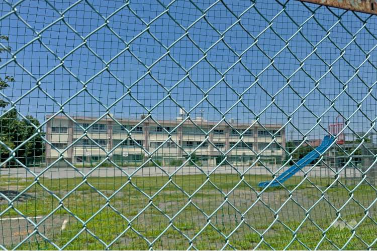 下布田小学校の写真