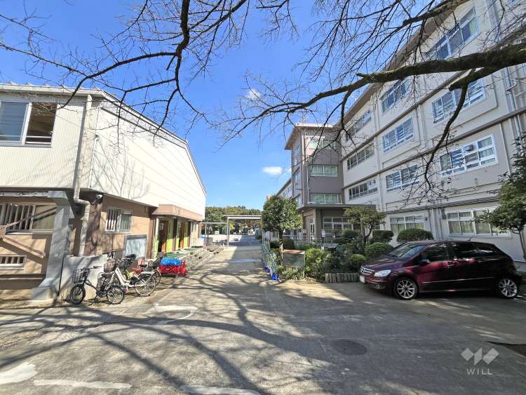 三田小学校の写真