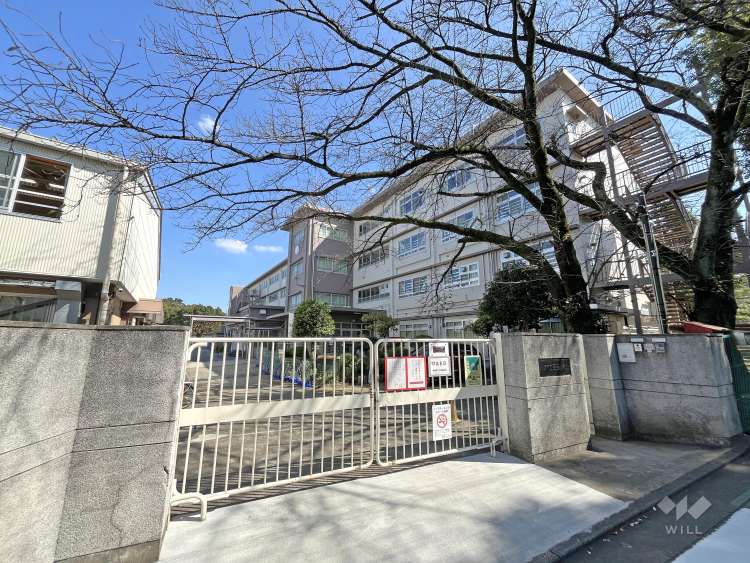 三田小学校の写真