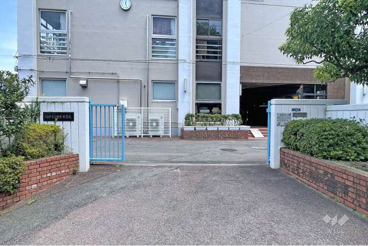 枡形中学校の写真