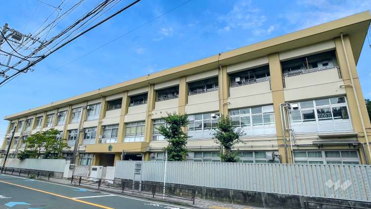 稲田中学校の写真