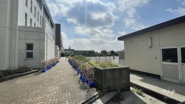 古市場小学校の写真