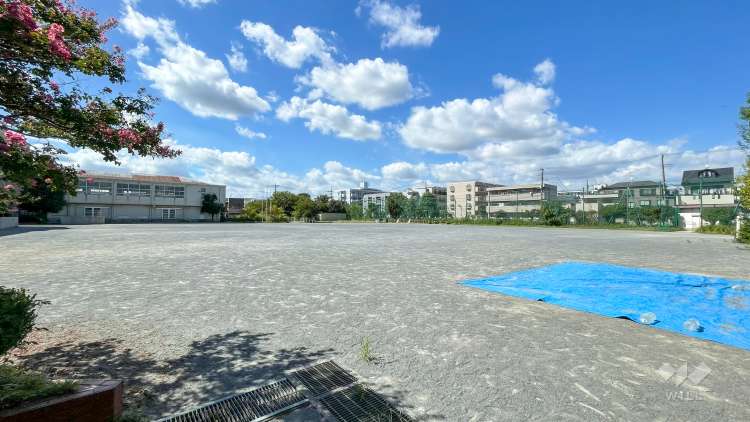 南加瀬小学校の写真