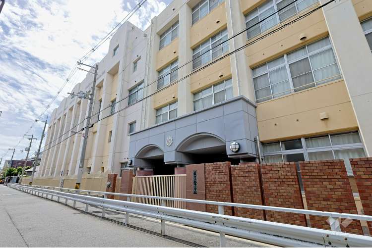 桃陽小学校の写真