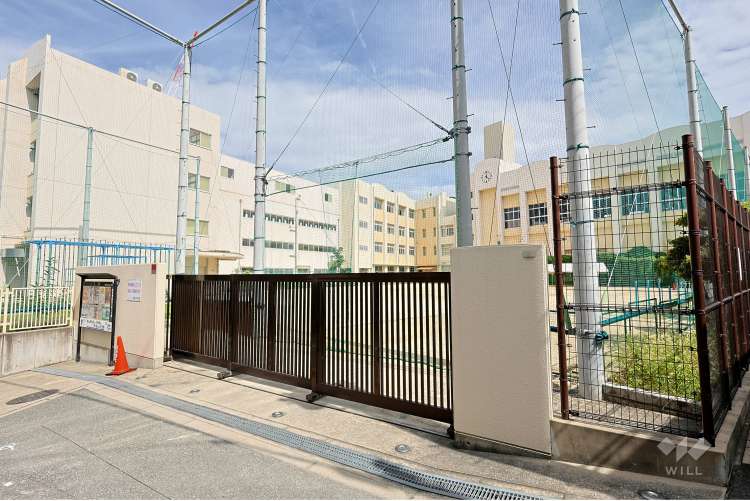 桃陽小学校の写真
