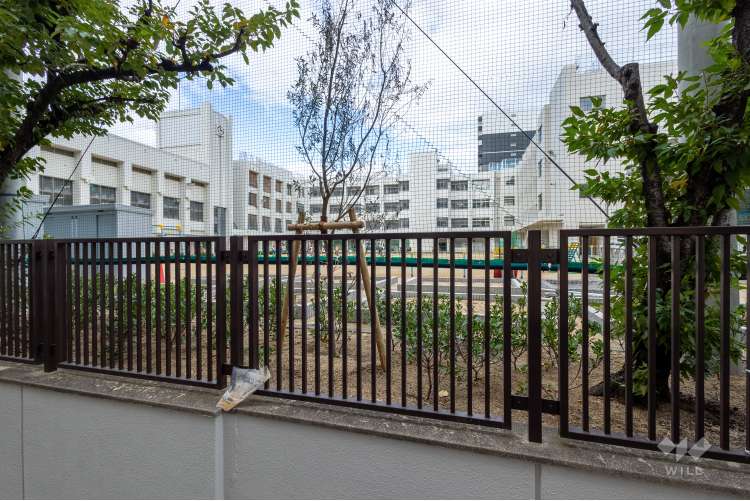 聖和小学校の写真