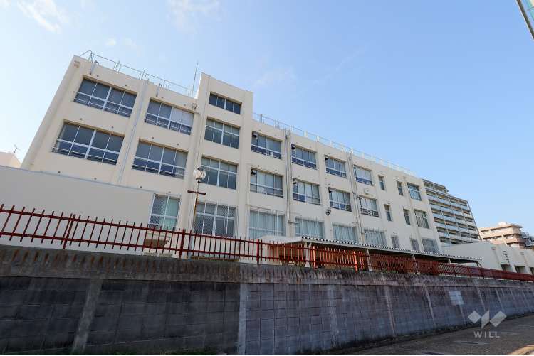 難波中学校の写真