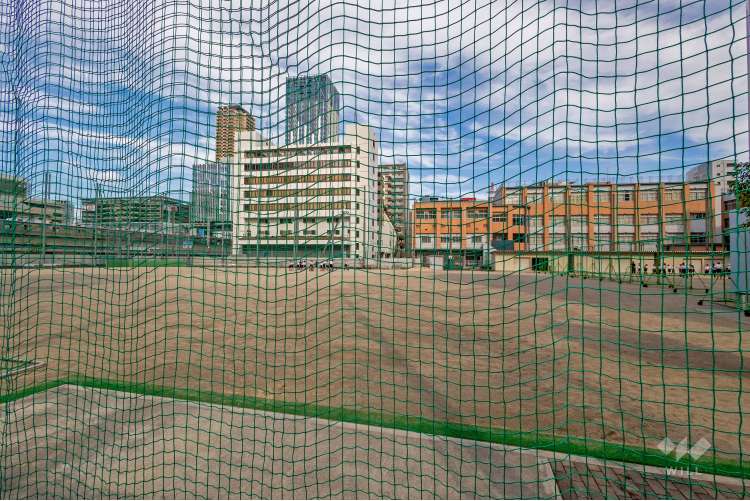 日本橋中学校の写真