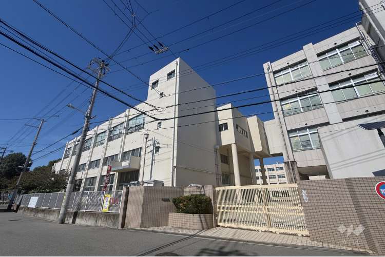 諏訪小学校の写真