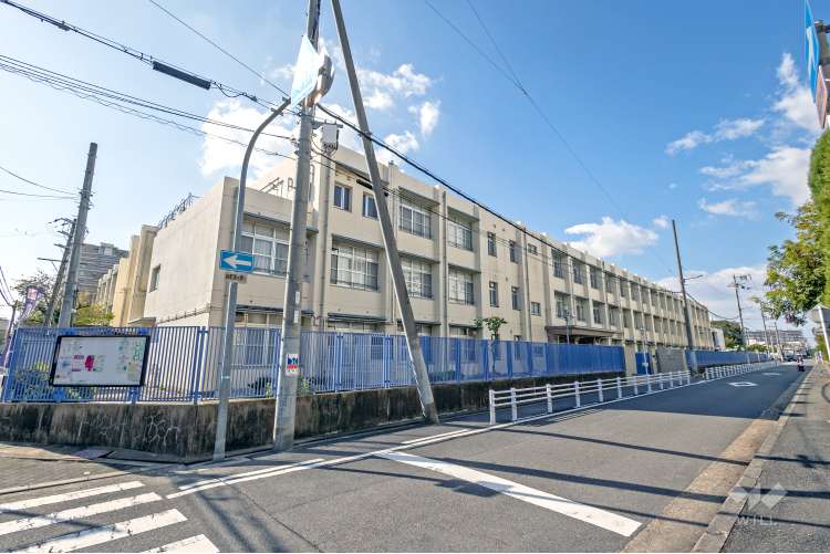 すみれ小学校の写真