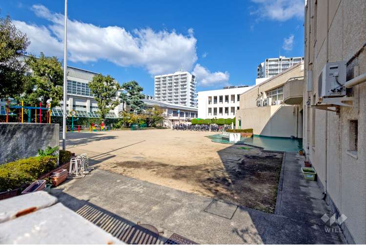 すみれ小学校の写真
