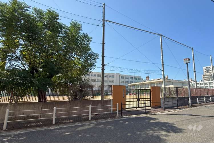 城東中学校の写真