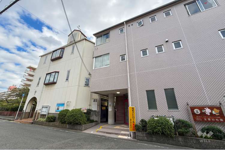 全愛幼稚園の写真