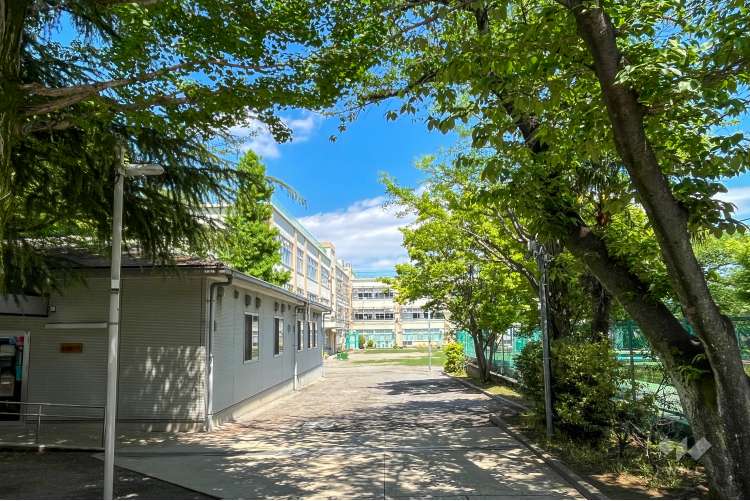 杉並第七小学校の写真