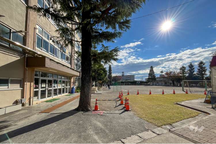 高井戸東小学校の写真
