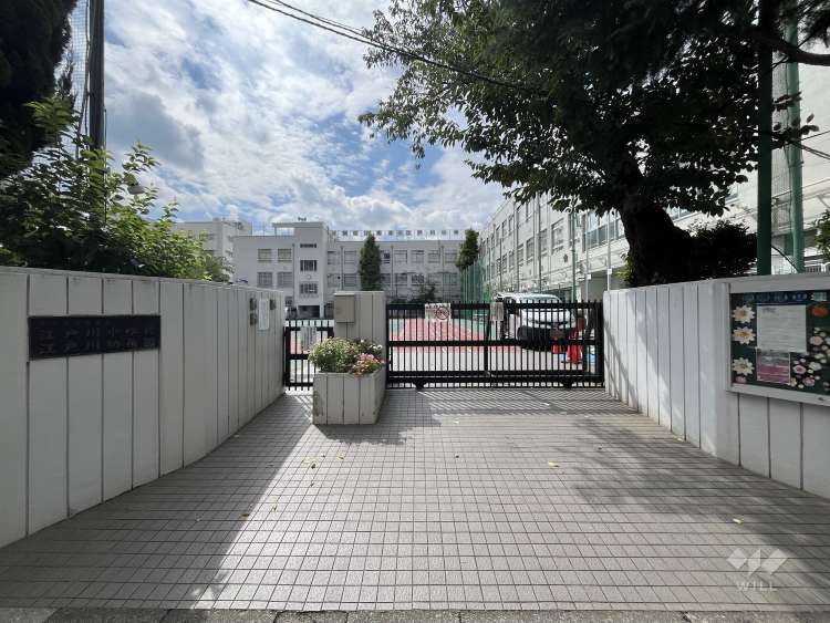 江戸川小学校の写真