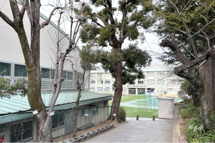 淀橋第四小学校の写真