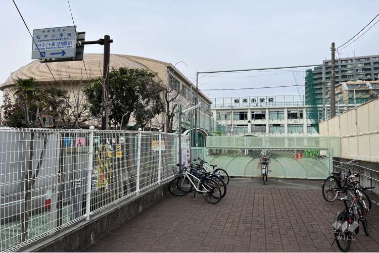 柏木小学校の写真