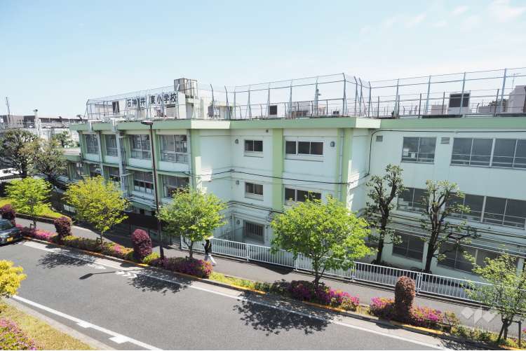 石神井東小学校の写真