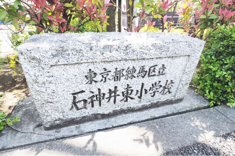 石神井東小学校の写真