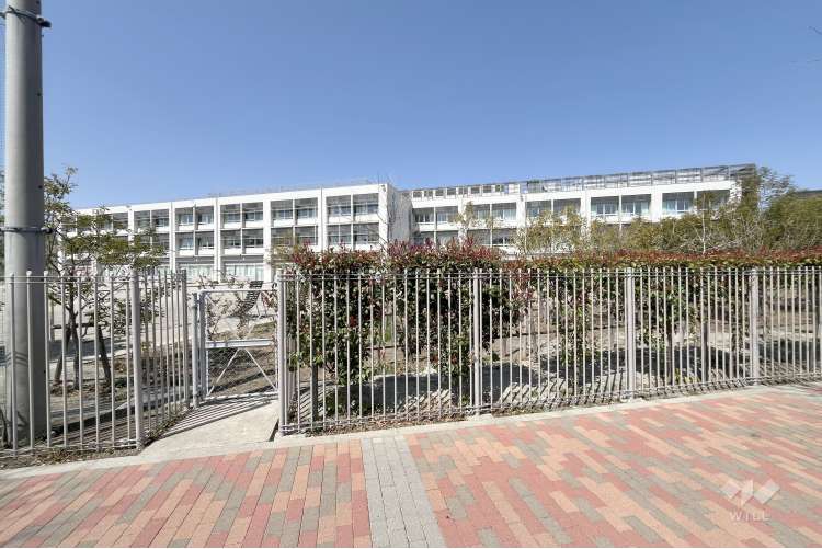 石神井小学校の写真