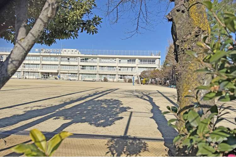 光が丘秋の陽小学校の写真