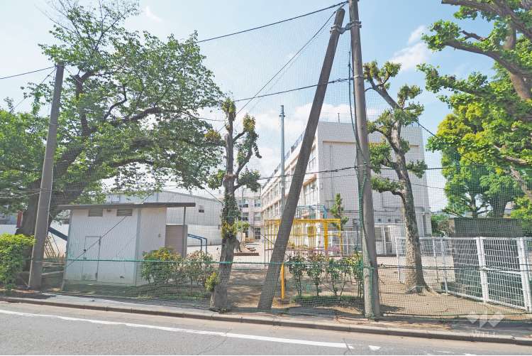 開進第一小学校の写真