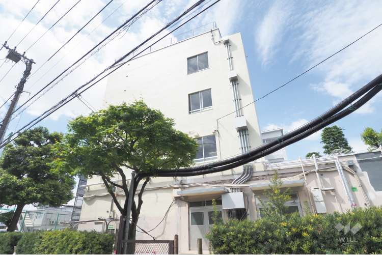 石神井南中学校の写真
