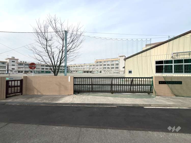 石神井西中学校の写真