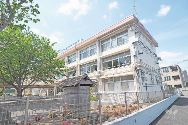 練馬中学校の写真
