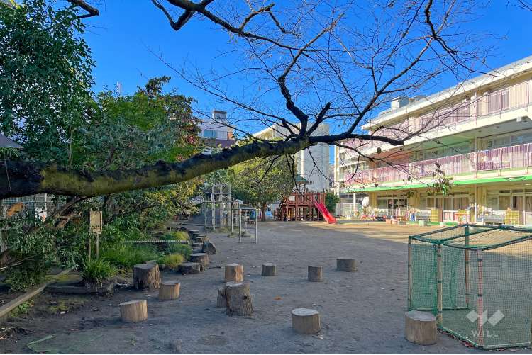 やよいこども園の写真