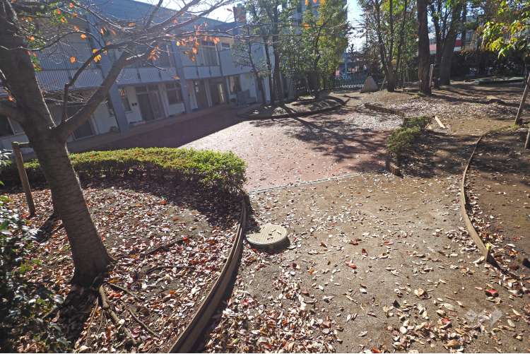 杉並元氣保育園の写真