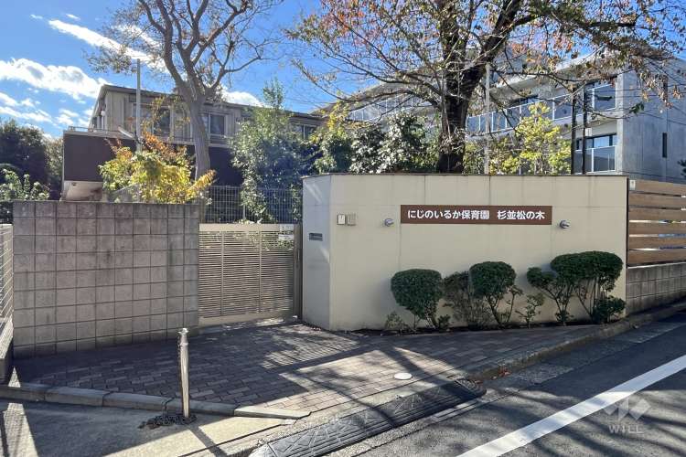 にじのいるか保育園杉並松の木の写真