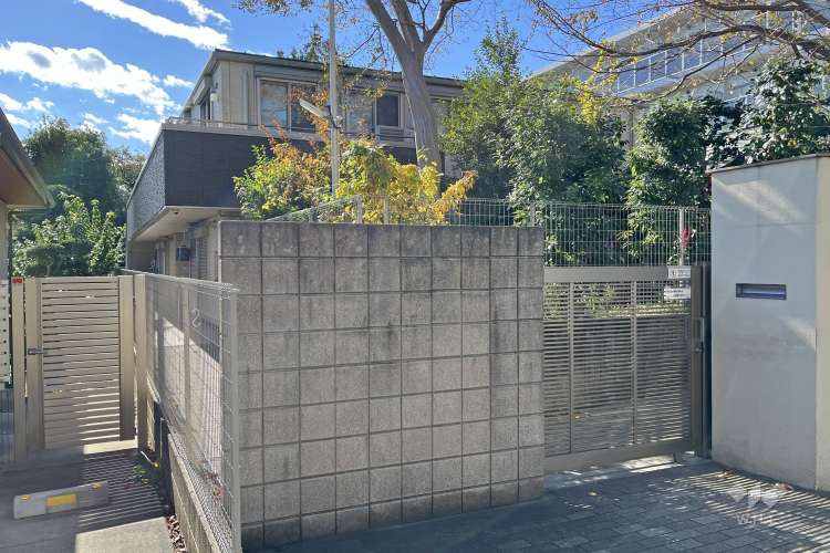 にじのいるか保育園杉並松の木の写真