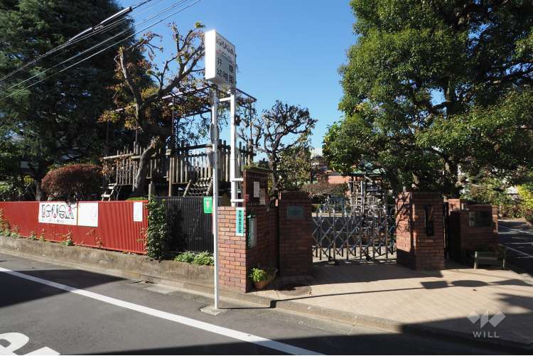 井草幼稚園の写真