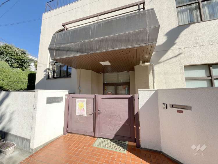 和泉町幼稚園の写真