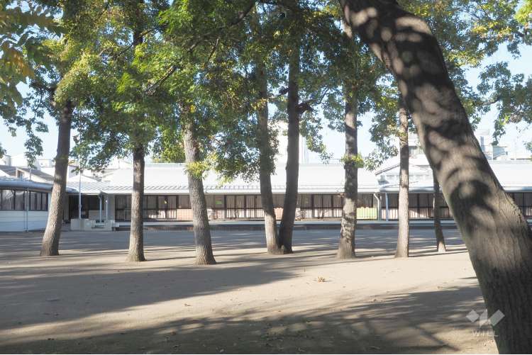 観泉寺幼稚園の写真