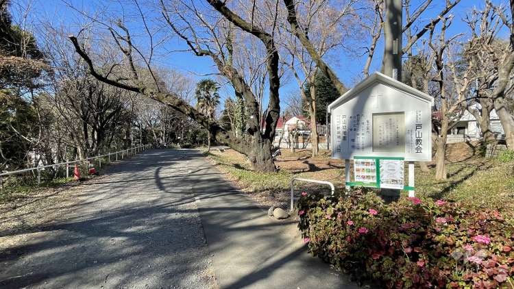 戸山幼稚園の写真
