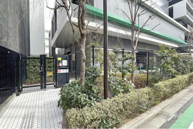 小学館アカデミー飯田橋ガーデン保育園の写真