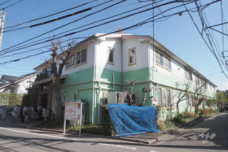 清心幼稚園の写真