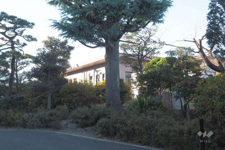 関町白百合幼稚園の写真