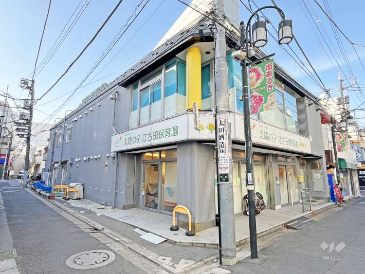 太陽の子　江古田保育園の写真