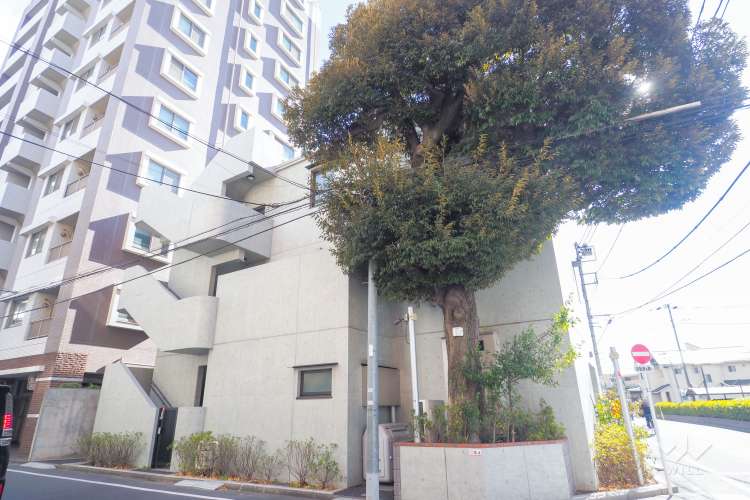 このえ豊玉北保育園の写真