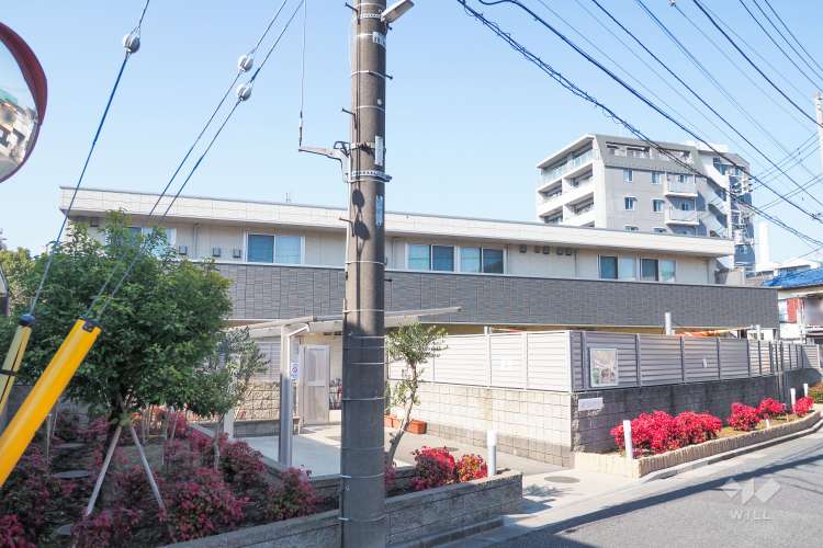 さくらさくみらい光が丘の写真