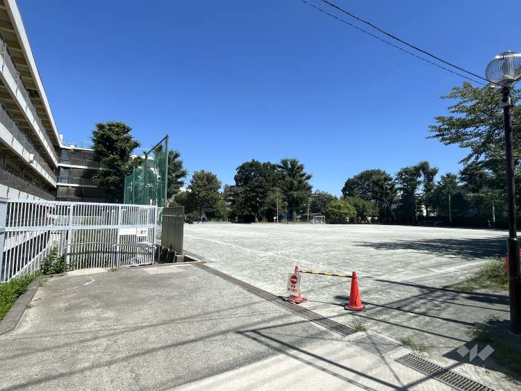 境南小学校の写真